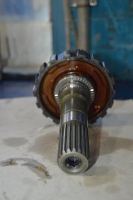 SSC_0214.JPG